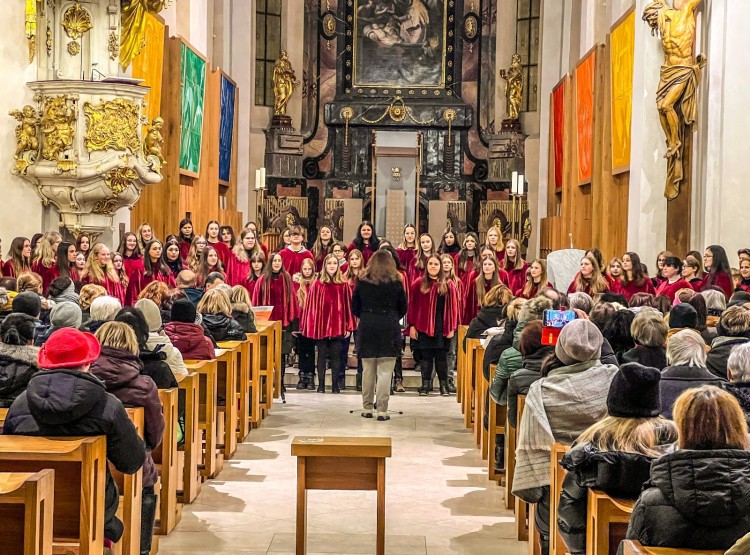 Chystá se novoroční koncert na podporu Domácího hospice Ledax